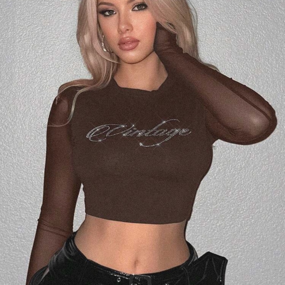 Vintage Brown Sheer Sleeve Crop Top
